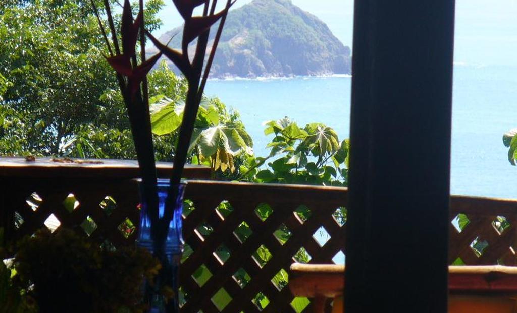 Jungle Villa Nationalpark Nationalpark Manuel Antonio Exterior foto