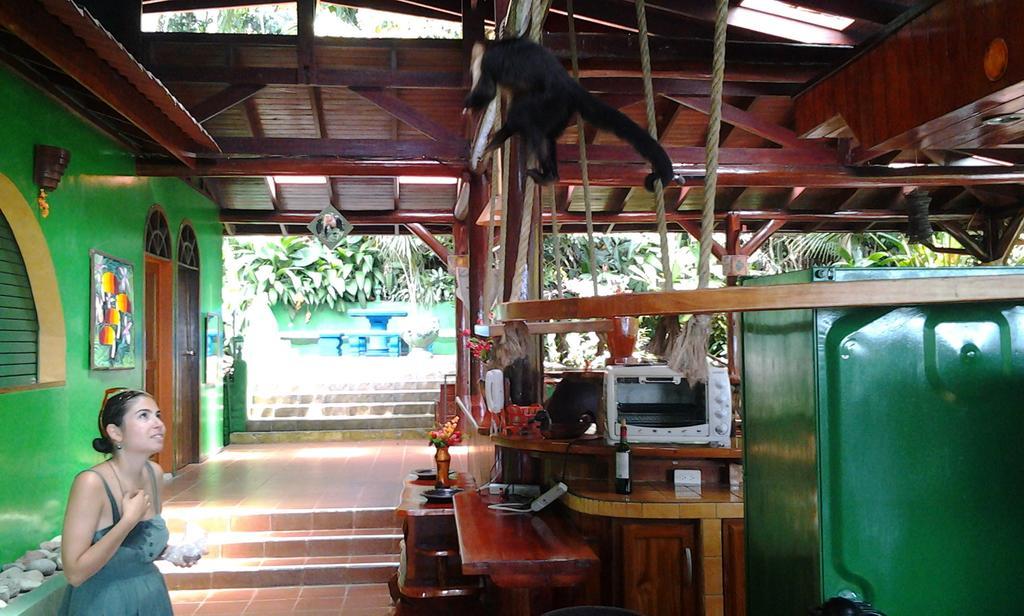 Jungle Villa Nationalpark Nationalpark Manuel Antonio Exterior foto