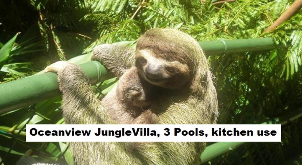 Jungle Villa Nationalpark Nationalpark Manuel Antonio Exterior foto